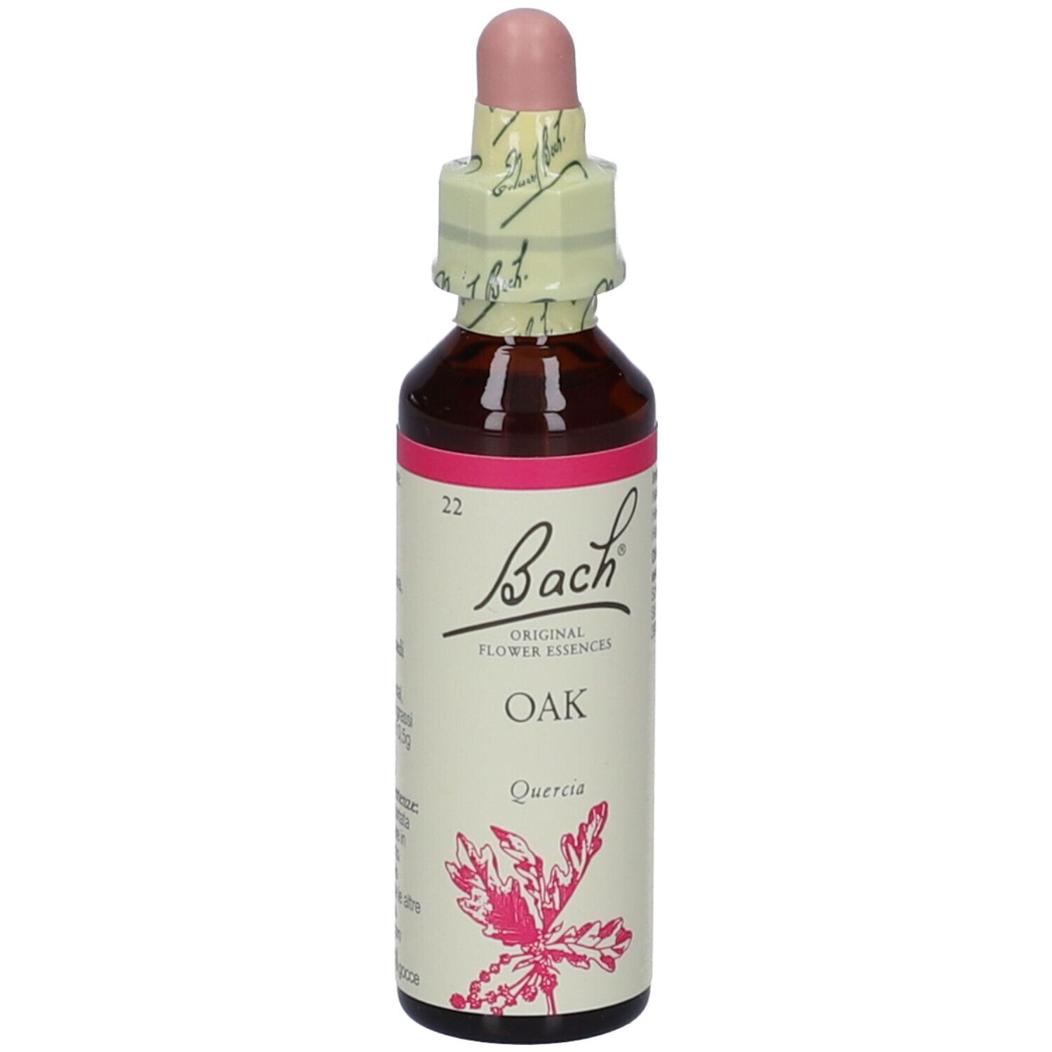 Oak Bach Orig