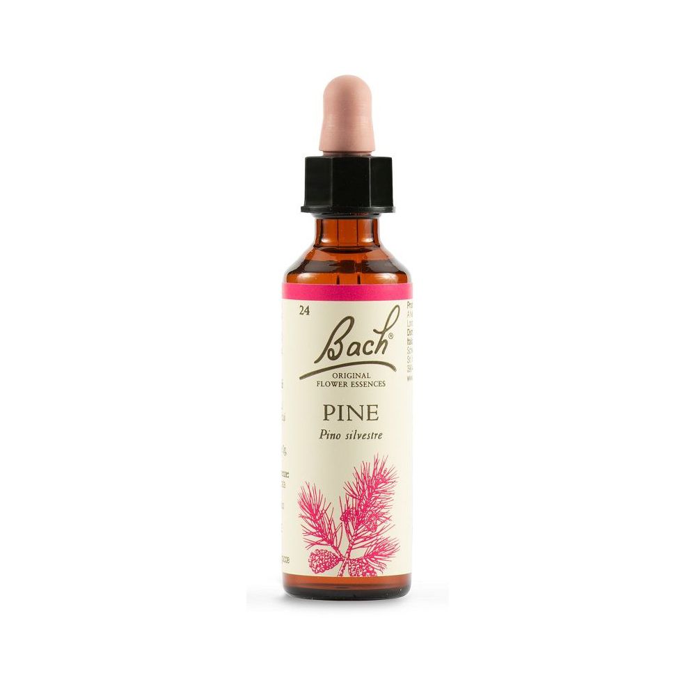 Schwabe Pharma Fiori di Bach Pine