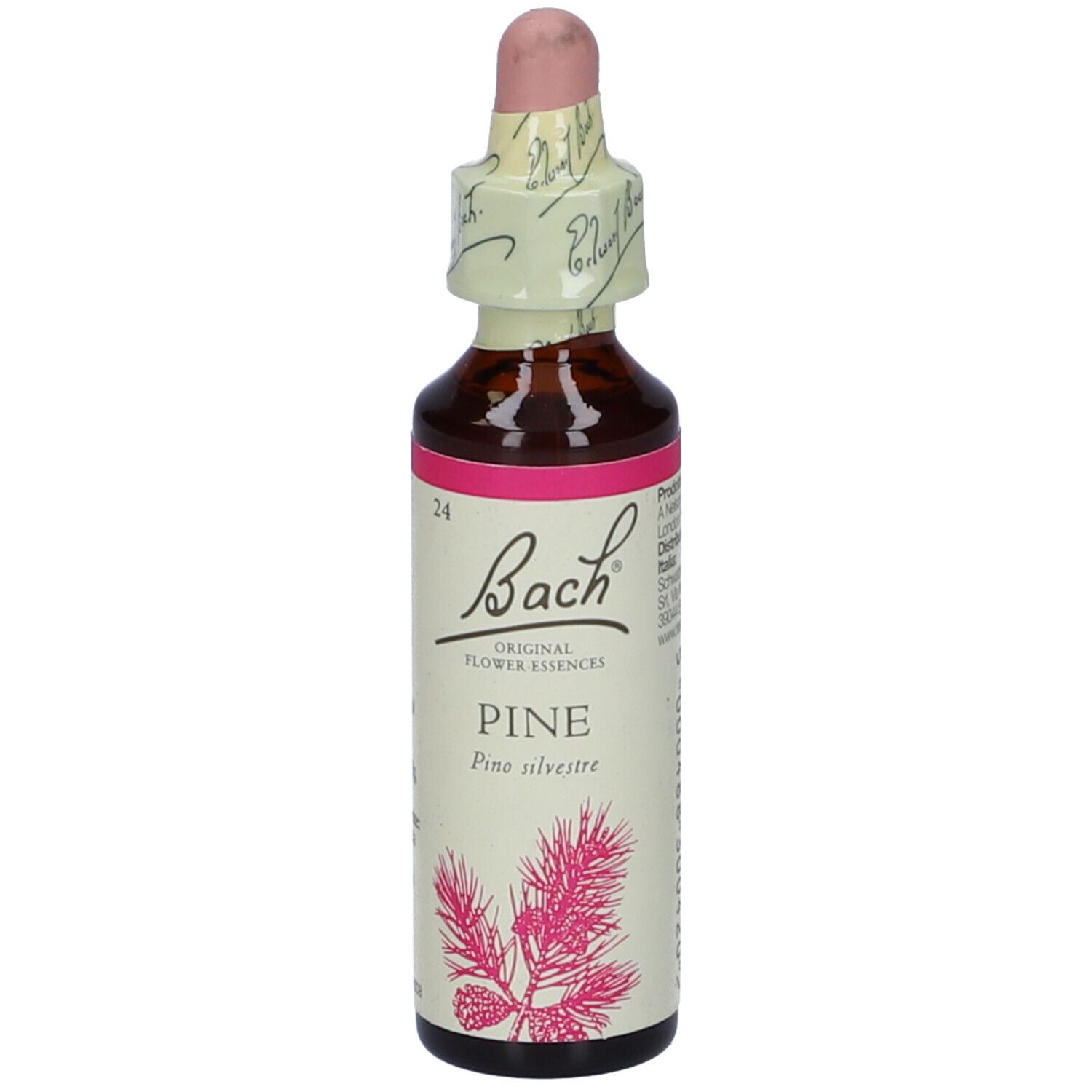 Schwabe Pharma Fiori di Bach Pine