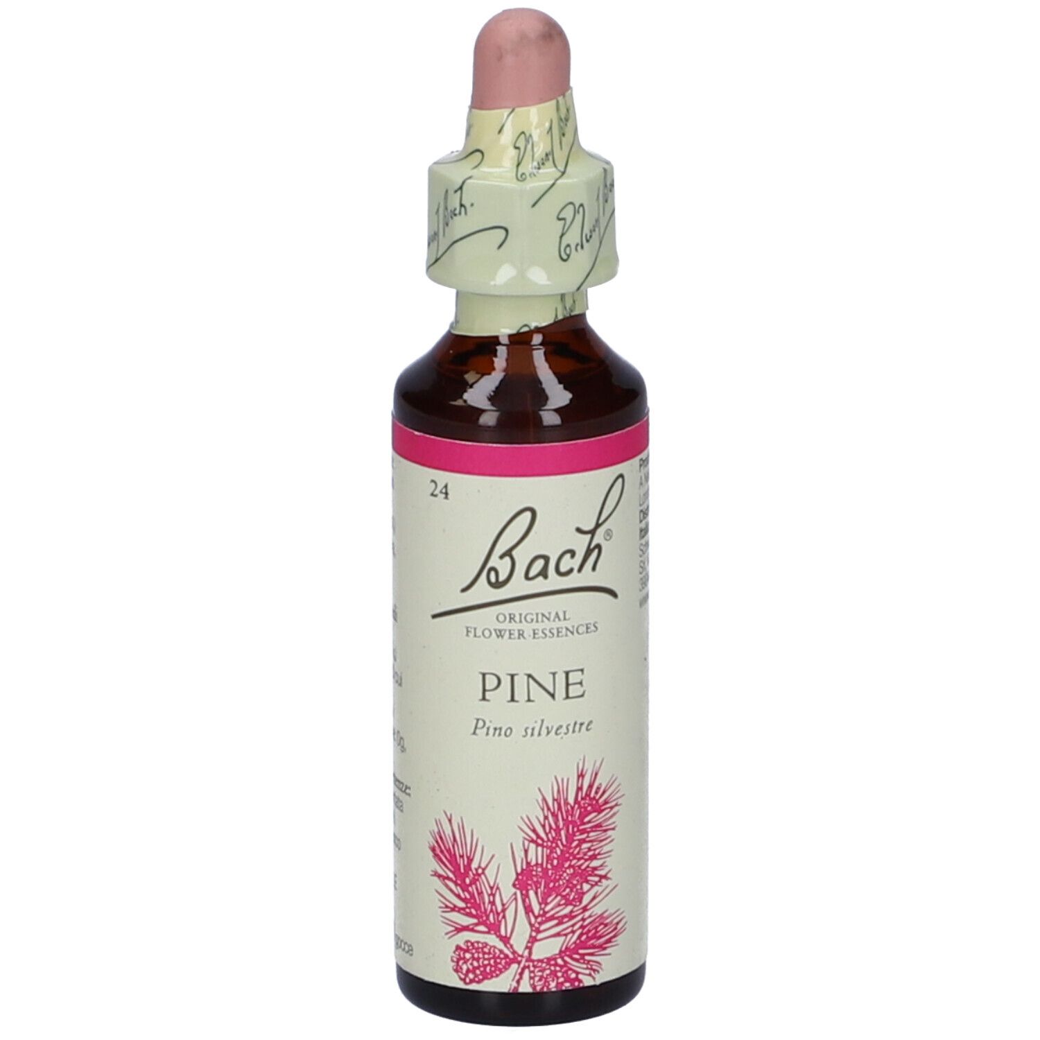 Schwabe Pharma Fiori di Bach Pine