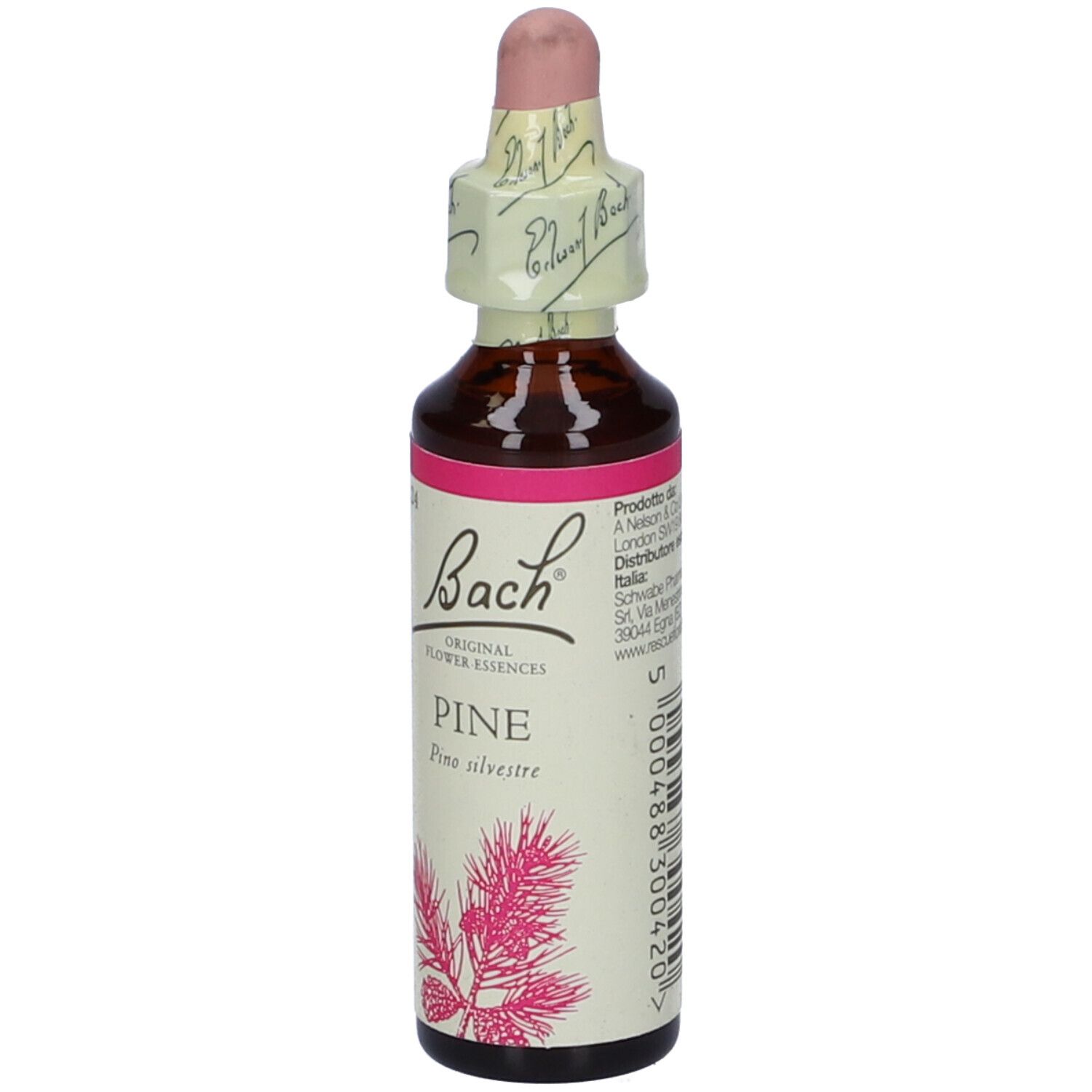 Schwabe Pharma Fiori di Bach Pine