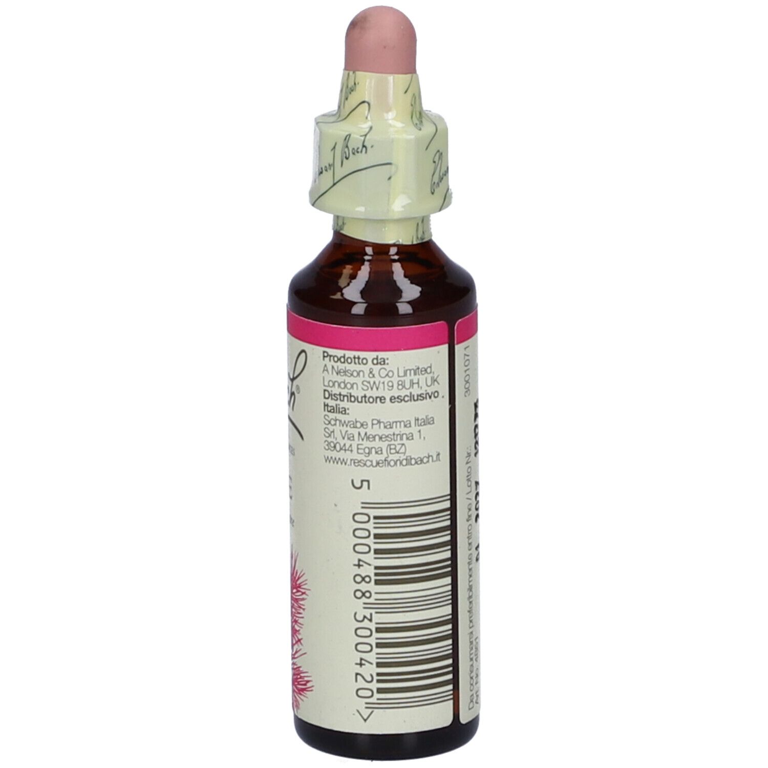 Schwabe Pharma Fiori di Bach Pine
