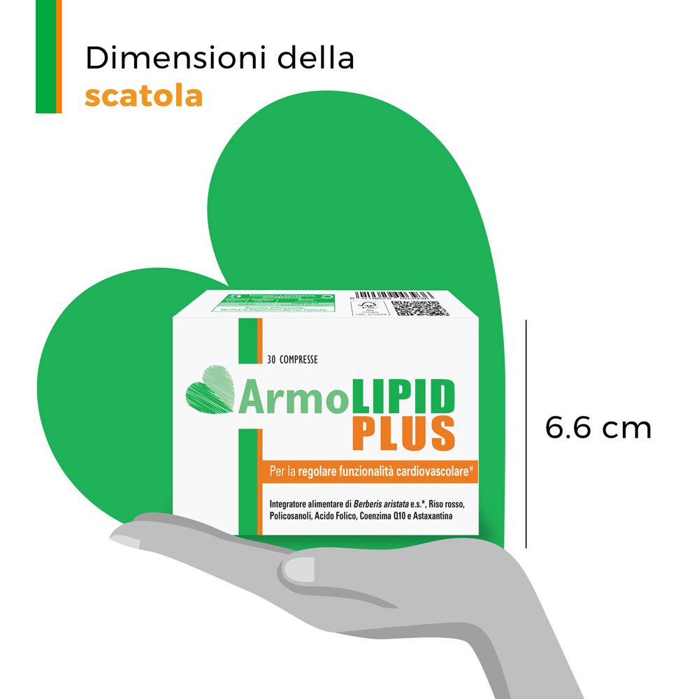 Confezione del prodotto in una mano. Scritto: ArmoLIPID PLUS. Dimensioni della scatola: 6,6 cm.