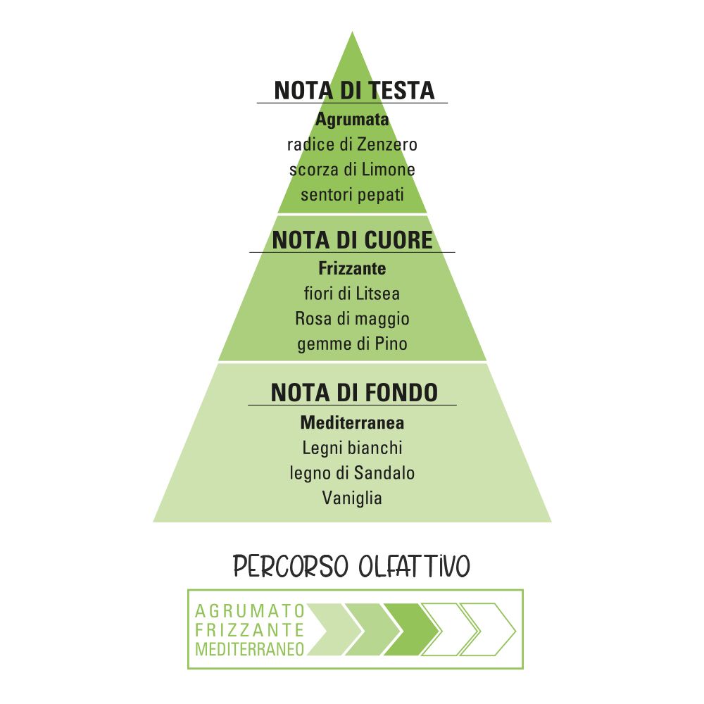 Piramide olfattiva con note di limone, zenzero, vaniglia e altro. Testo in italiano.