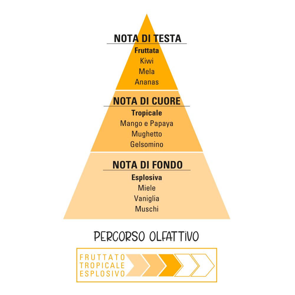 Piramide olfattiva con note fruttate, tropicali ed esplosive. Testo in italiano.
