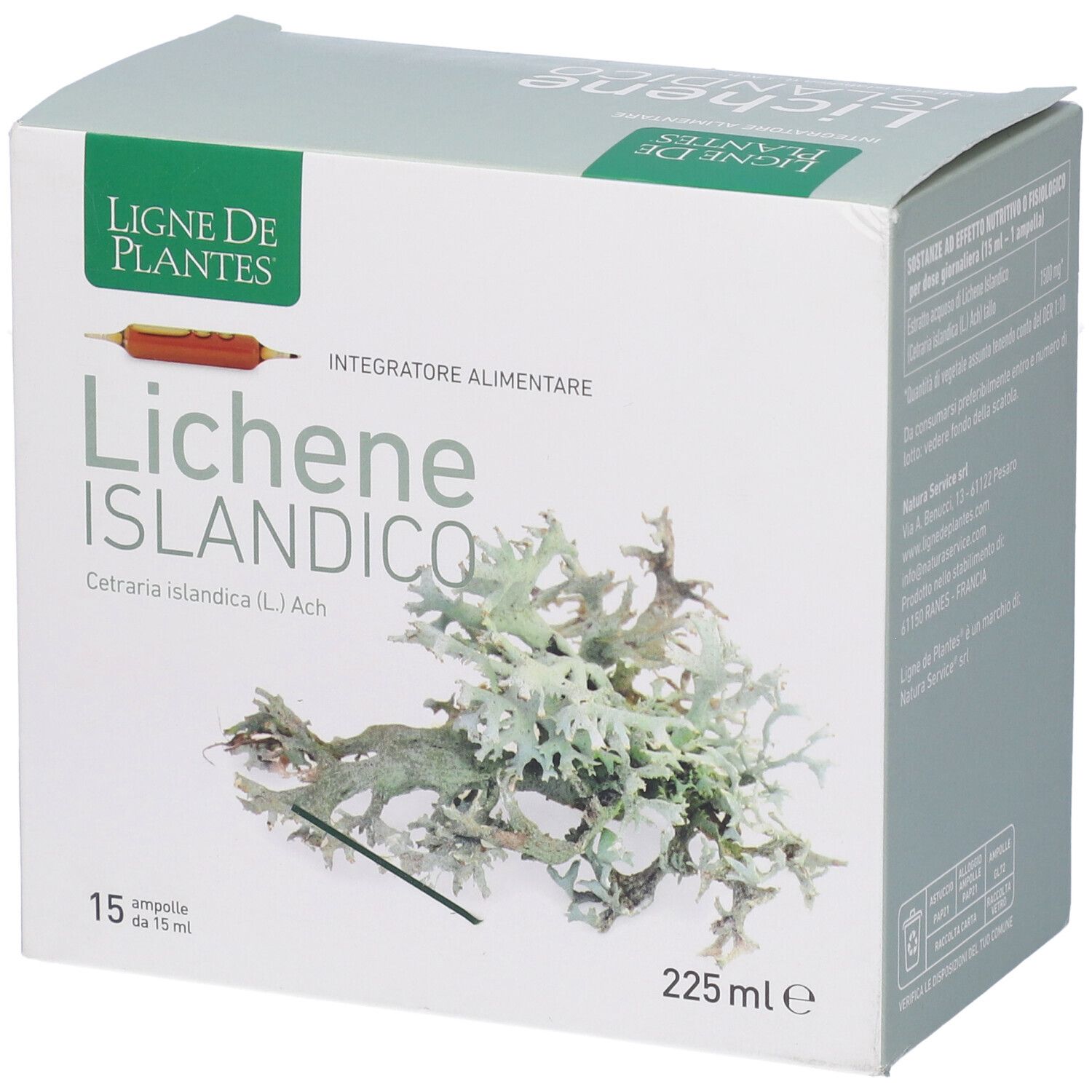 Scatola con stampa del prodotto. Scritto: Lichene Islandico, 15 fiale. Illustrazione di licheni.
