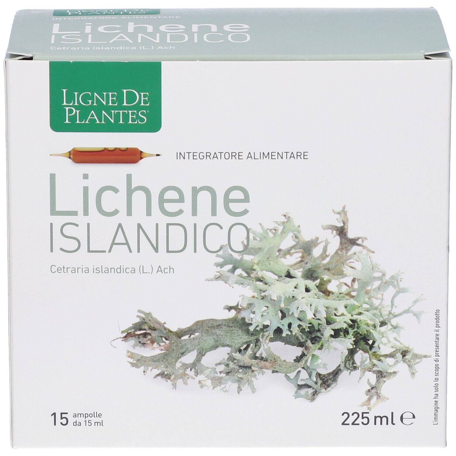 Scatola con stampa del prodotto. Scritto: Lichene Islandico, 15 fiale. Illustrazione di licheni.