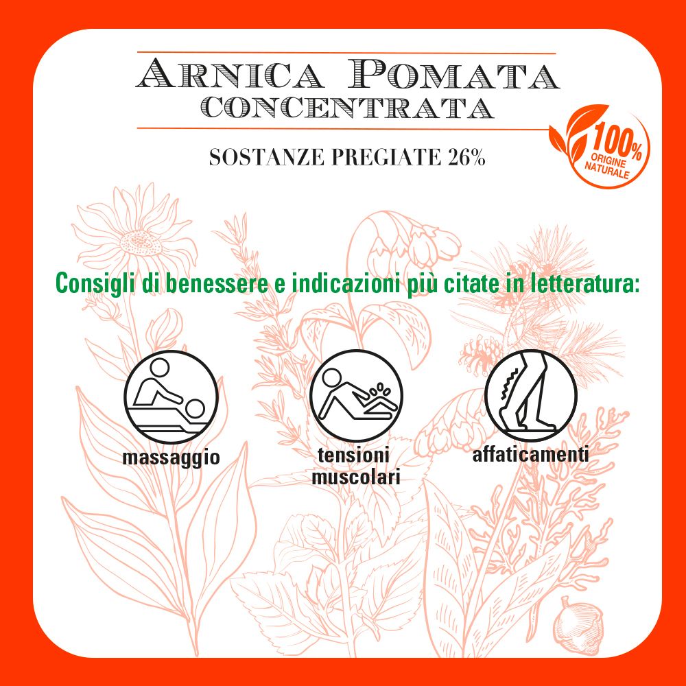 Confezione quadrata con testo: Arnica Pomata Concentrata. Illustrazioni di piante. Logo: Helan. 100% origine naturale.