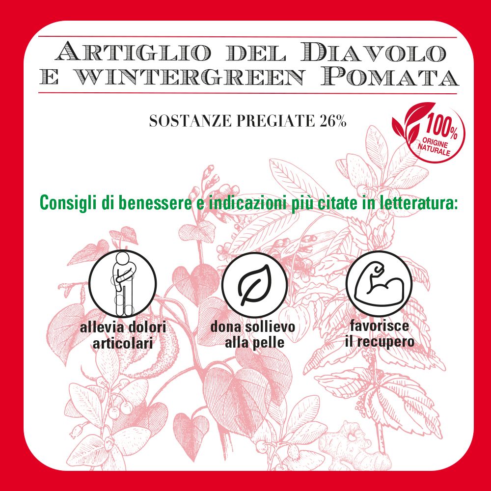 Pannello rosso con illustrazioni e testo. Testo: Artiglio del Diavolo e Wintergreen Pomata. Illustrazioni: dolori articolari, pelle, recupero.