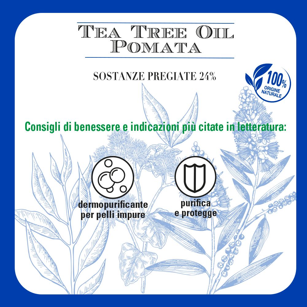 Confezione quadrata blu con testo: Tea Tree Oil Pomata, dermopurificante per pelli impure. Illustrazioni di piante.