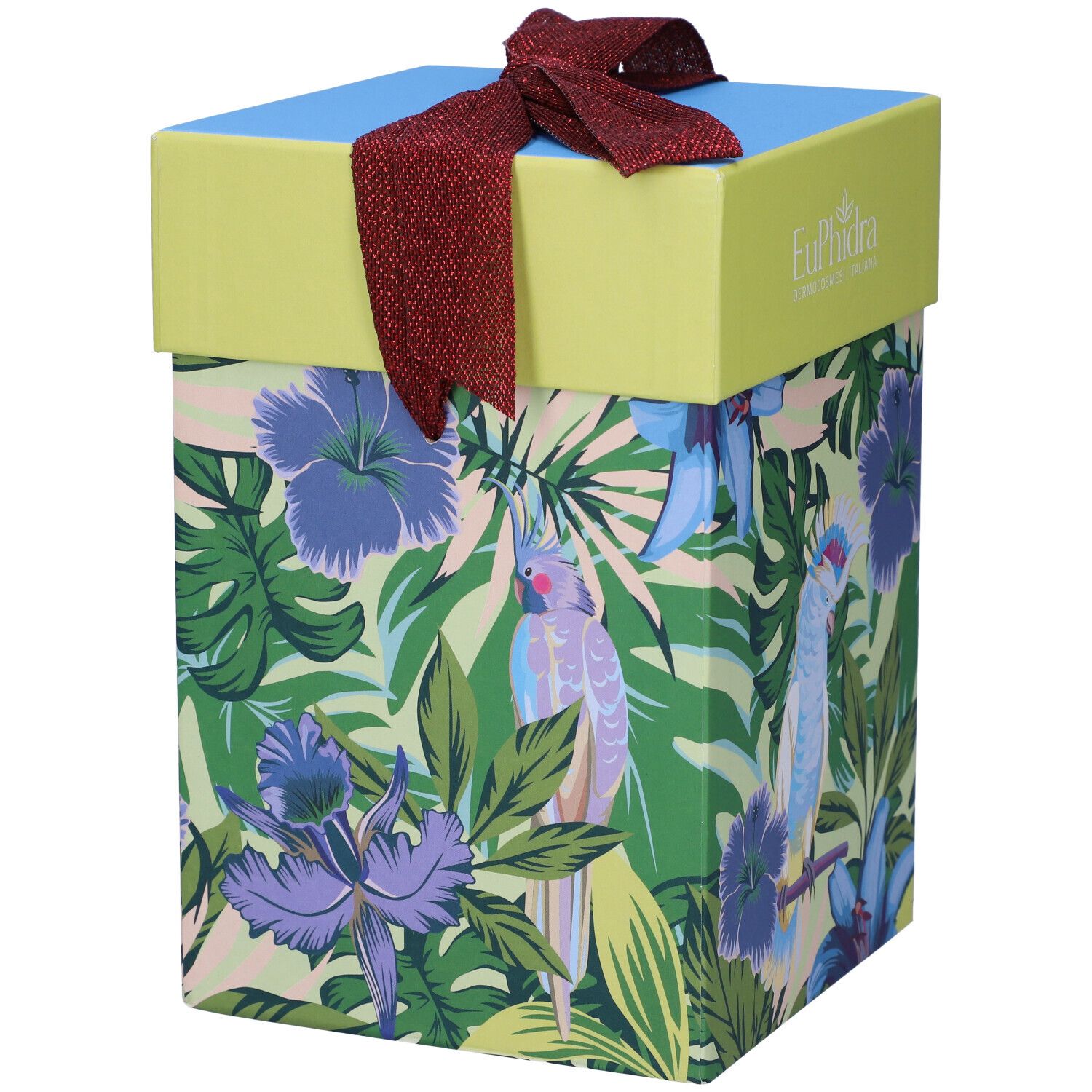 Confezione regalo con motivo tropicale, pappagalli e fiori. Scritta Euphidra. Fiocco rosso.