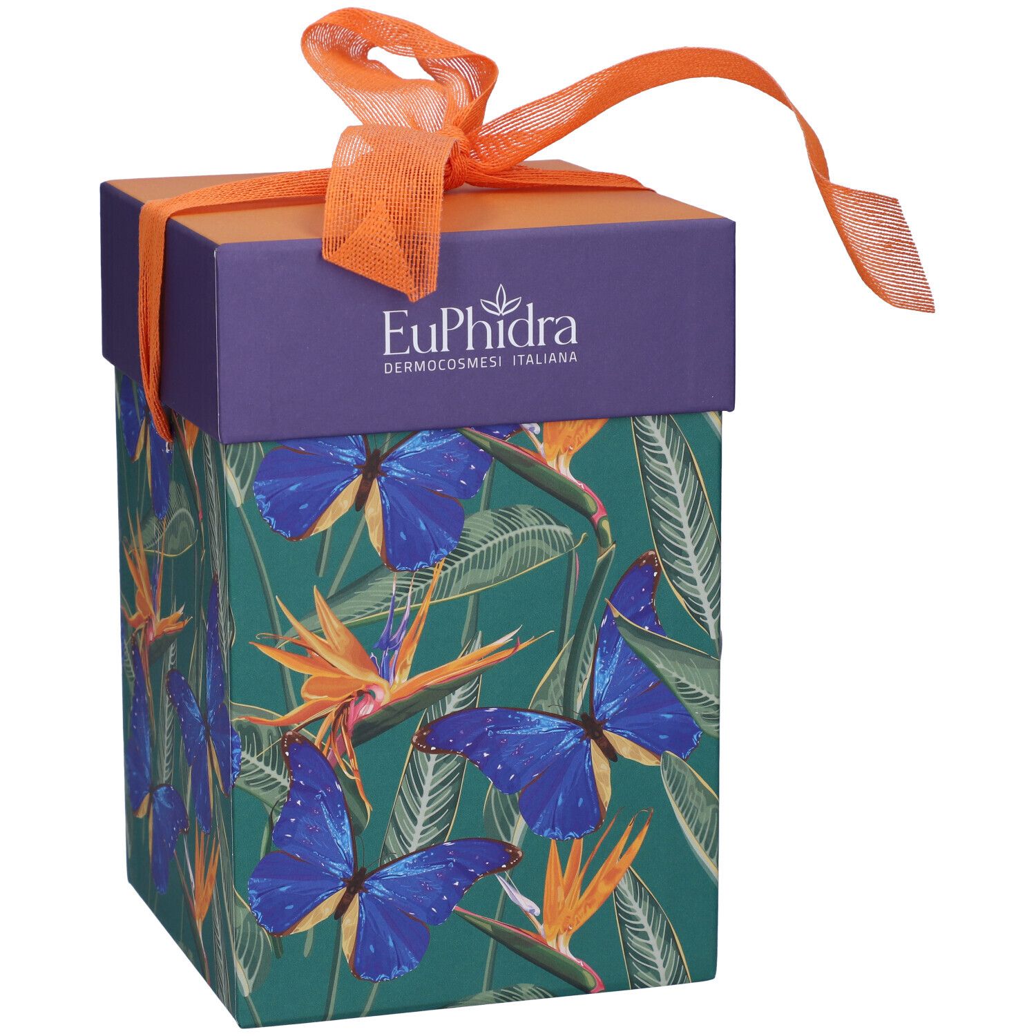 Confezione regalo con motivo farfalle e fiocco. Scritta: Euphidra Dermocosmesi Italiana.