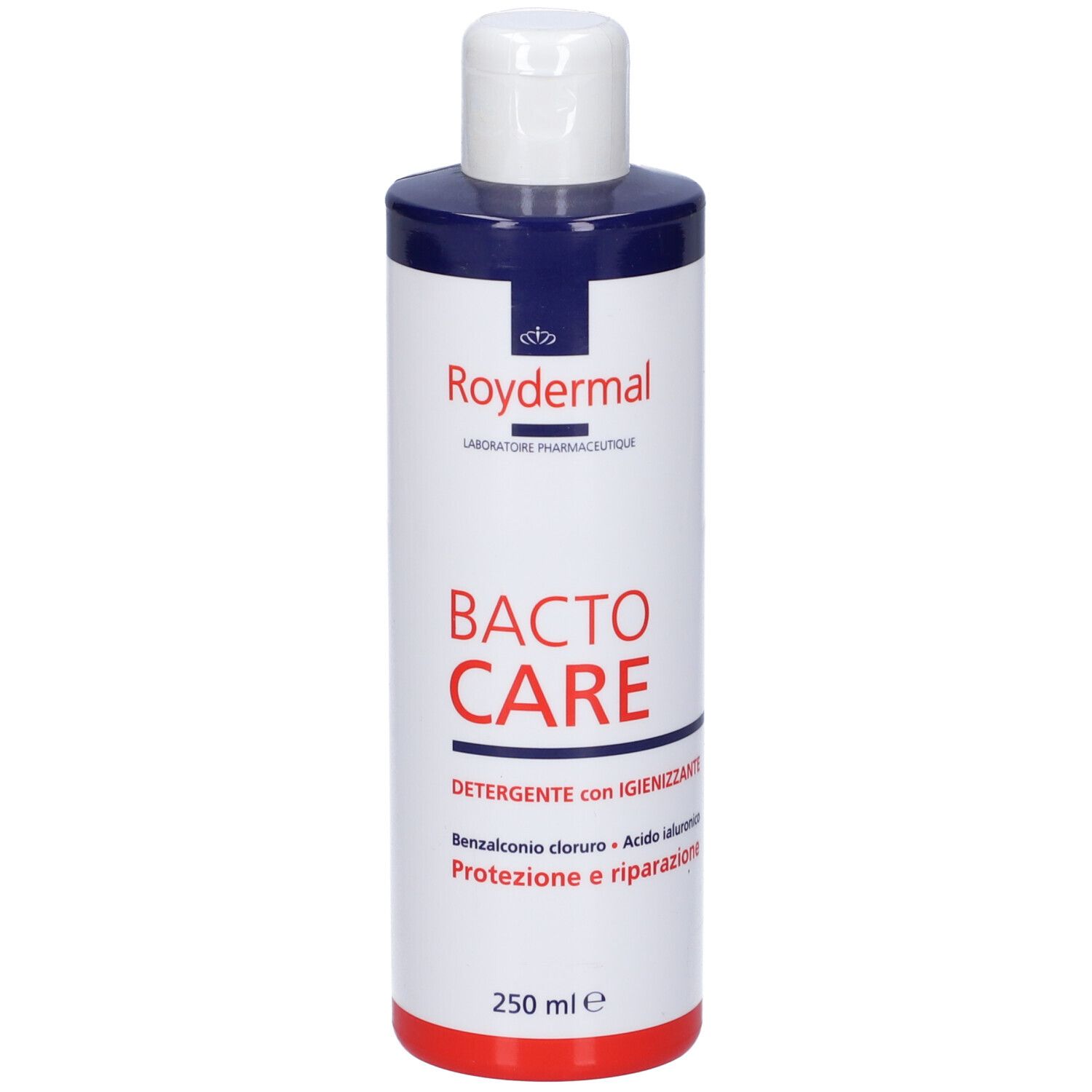 Bactocare Detergente Igienizzante 250 Ml