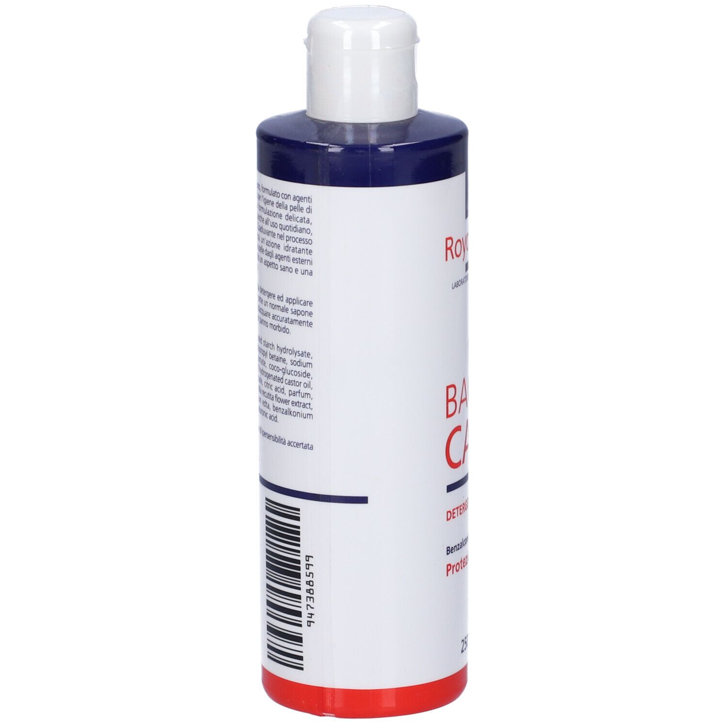 Bactocare Detergente Igienizzante 250 Ml
