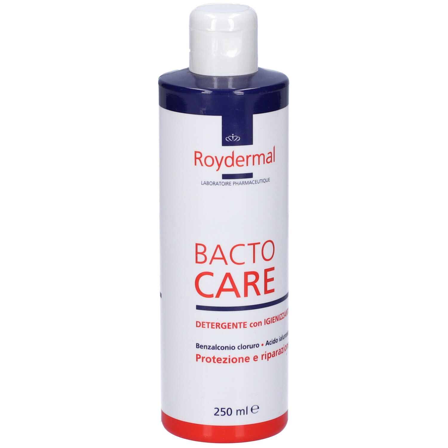 Bactocare Detergente Igienizzante 250 Ml