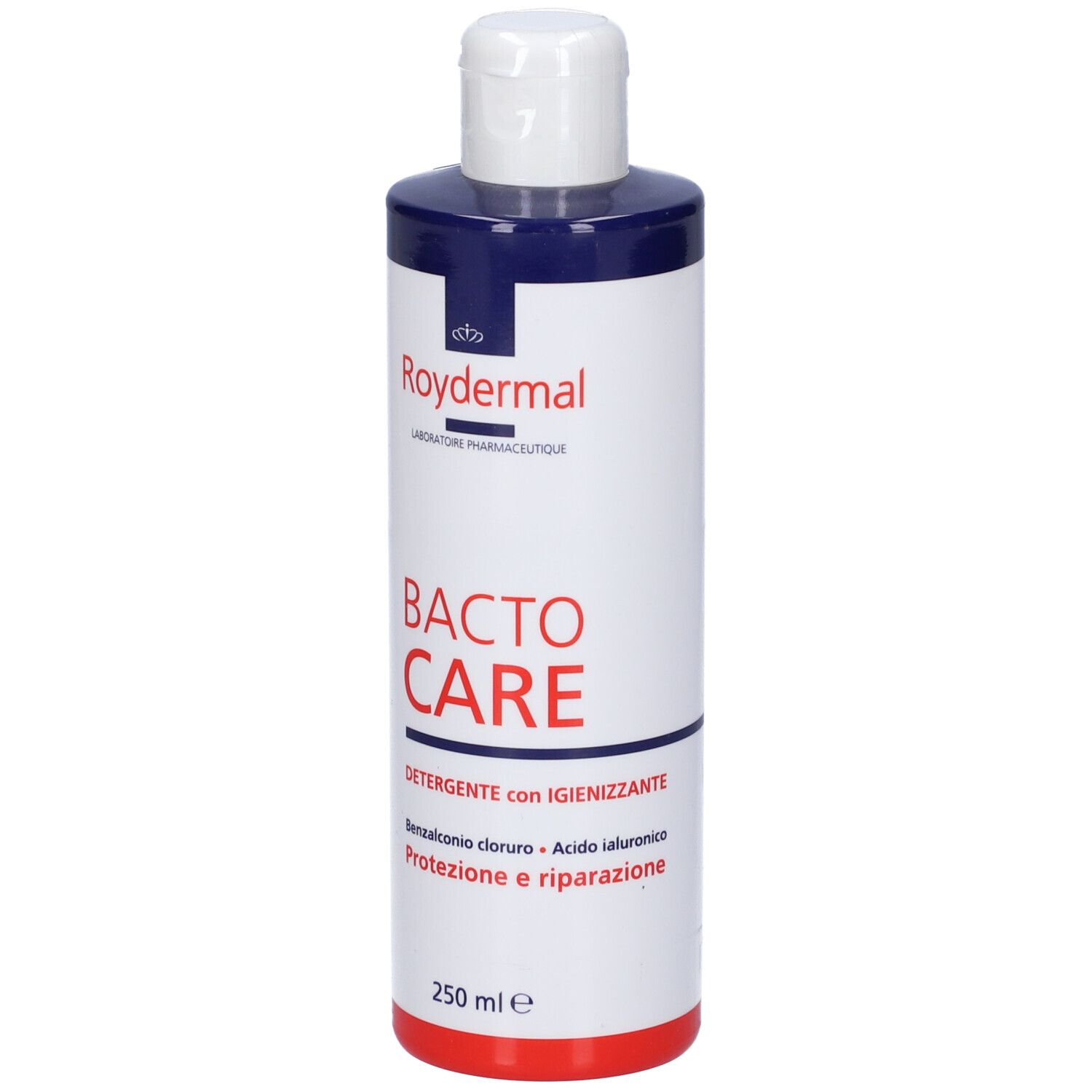 Bactocare Detergente Igienizzante 250 Ml
