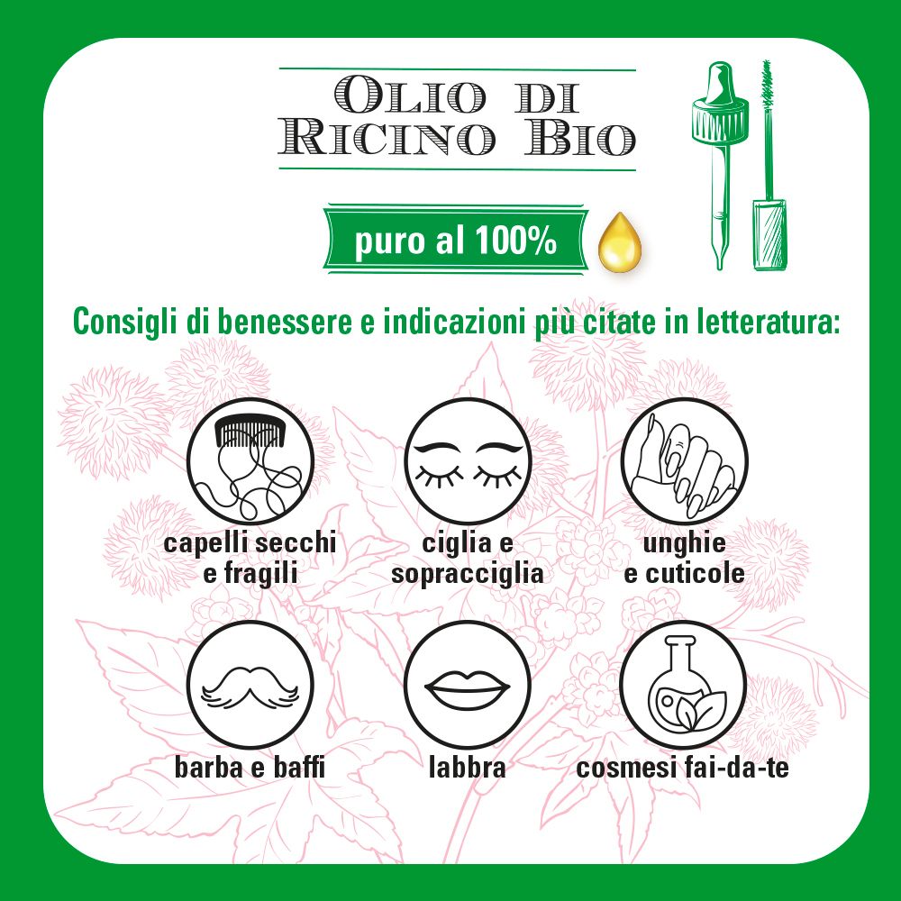 Etichetta verde con informazioni sul prodotto. Illustrazioni per capelli, ciglia, unghie, barba, labbra e cosmetici.