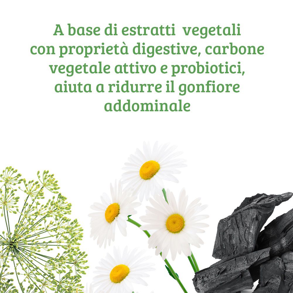 Estratti vegetali, camomilla, finocchio e carbone attivo su sfondo bianco.