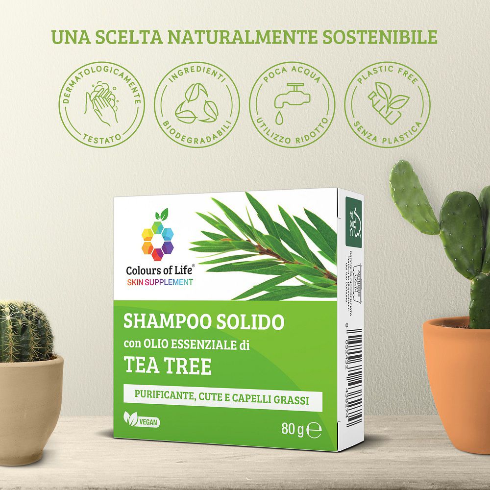 Confezione di shampoo solido accanto a un cactus, con simboli di sostenibilità e ramo di tea tree.