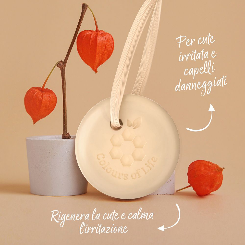 Shampoo solido con Vitamina B5 e cordino, decorato con piante di Physalis.