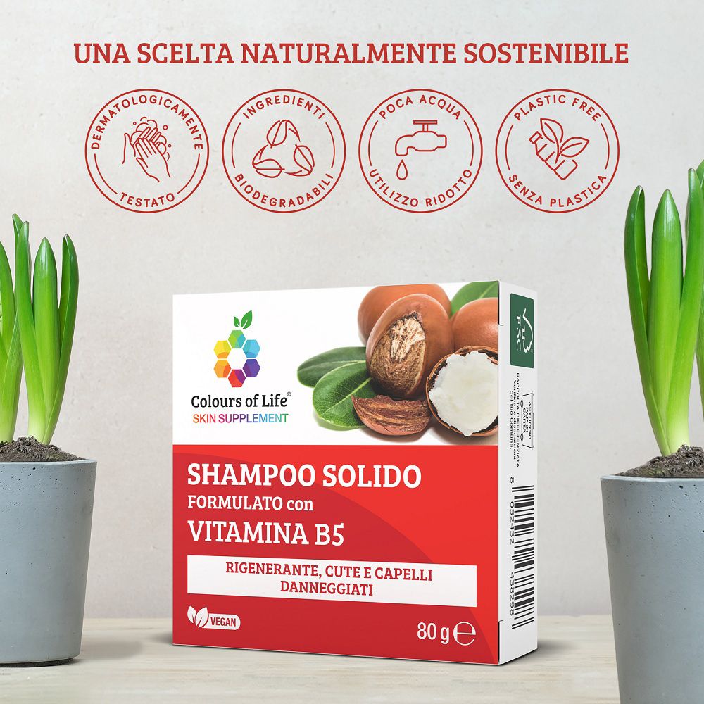 Shampoo solido con Vitamina B5 e confezione, circondati da piante e simboli di sostenibilità.