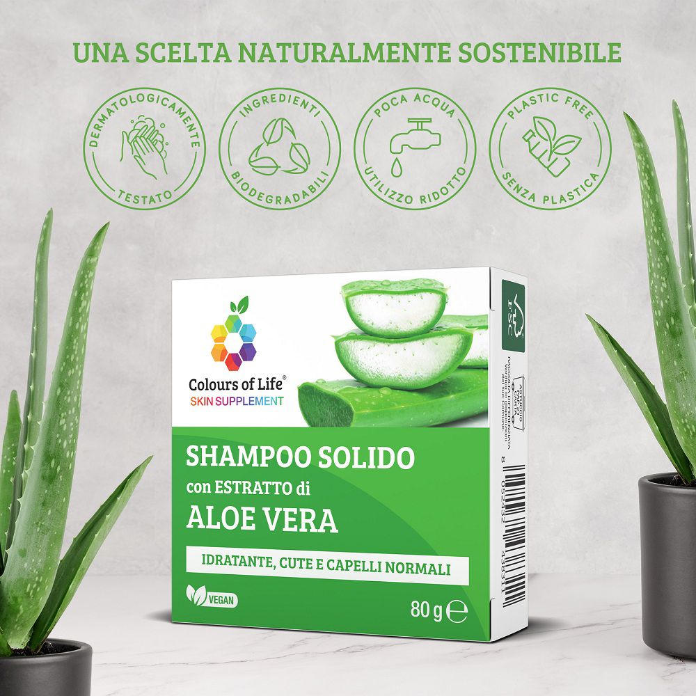 Flacone di shampoo solido all'aloe vera e una scatola, circondati da piante.