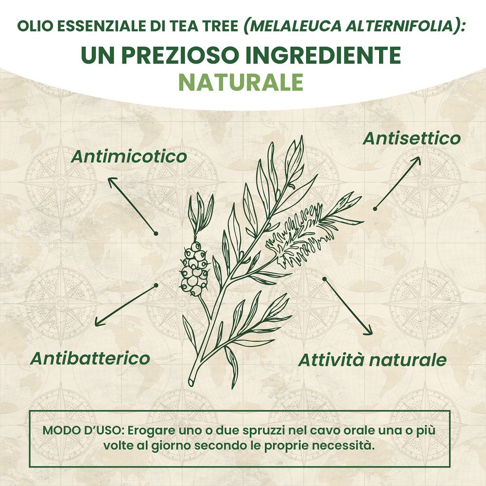 Olio di tea tree: antimicotico, antisettico, antibatterico, naturale.