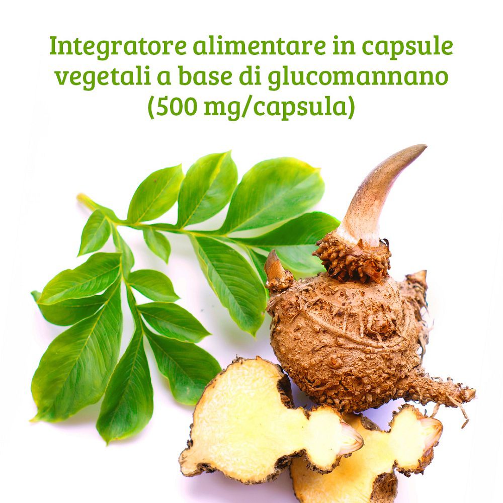 Radice di glucomannan, foglie e pezzi tagliati, isolati su sfondo bianco.