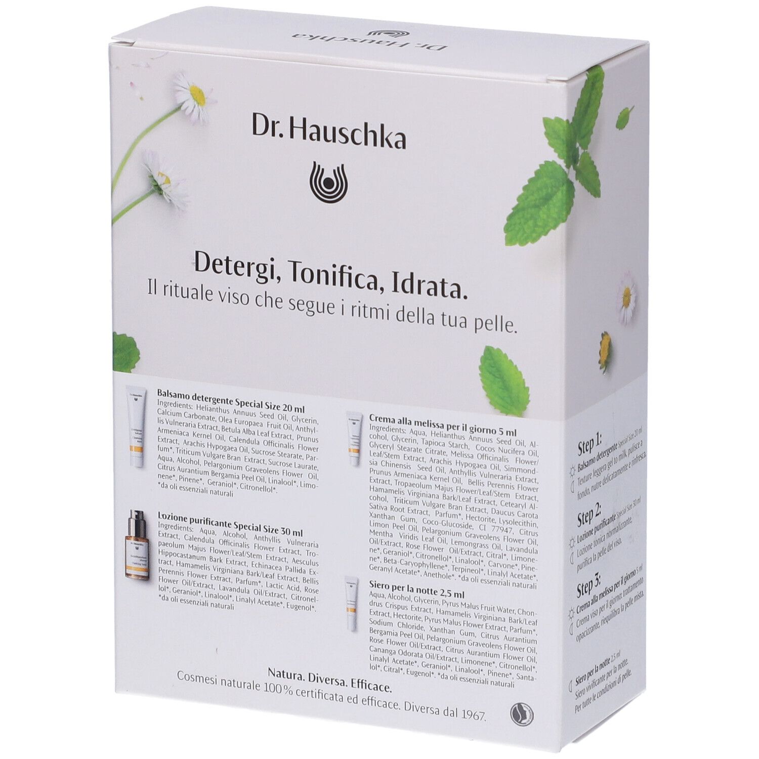 Retro della confezione del prodotto con testo e informazioni. Logo e testo "Dr. Hauschka".