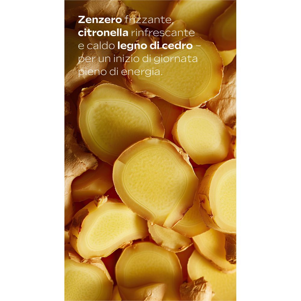 Primo piano di fette di zenzero. Testo: Zenzero frizzante, citronella rinfrescante e caldo legno di cedro.