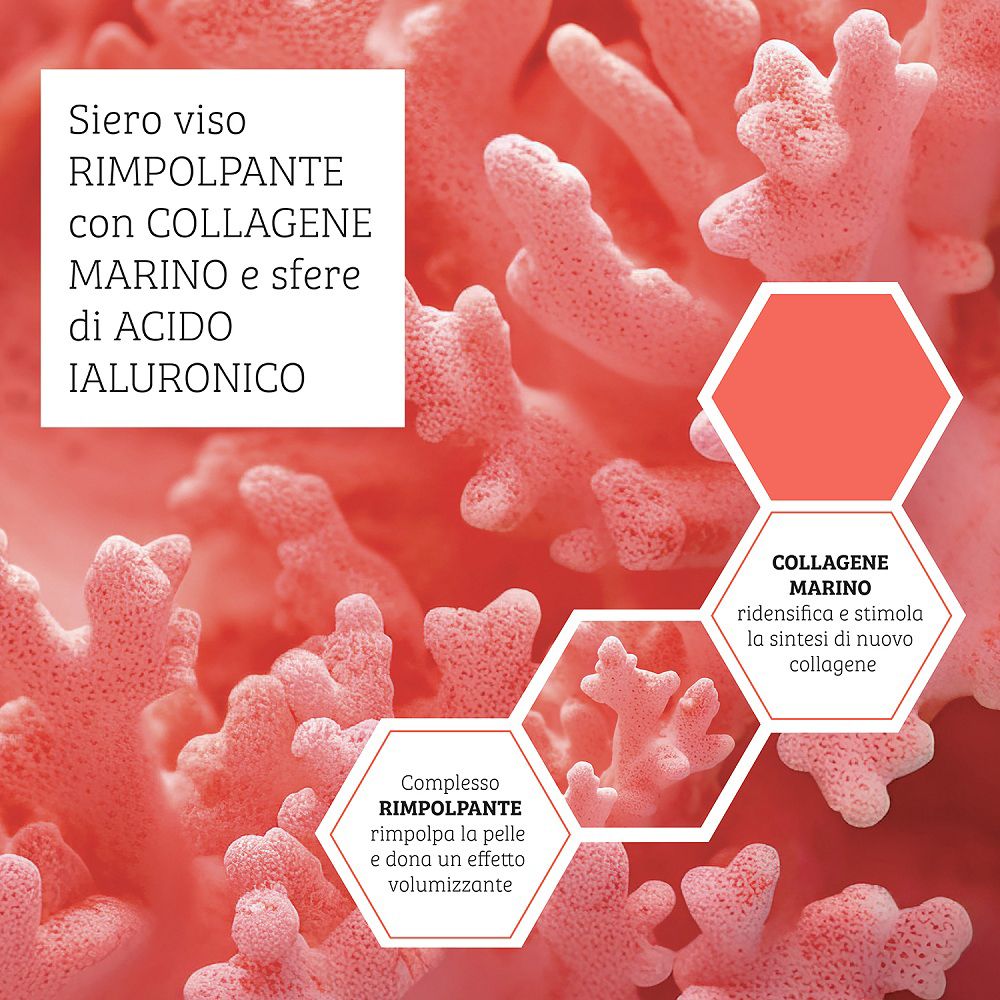 Primo piano di coralli con bolle di testo su collagene marino e acido ialuronico.