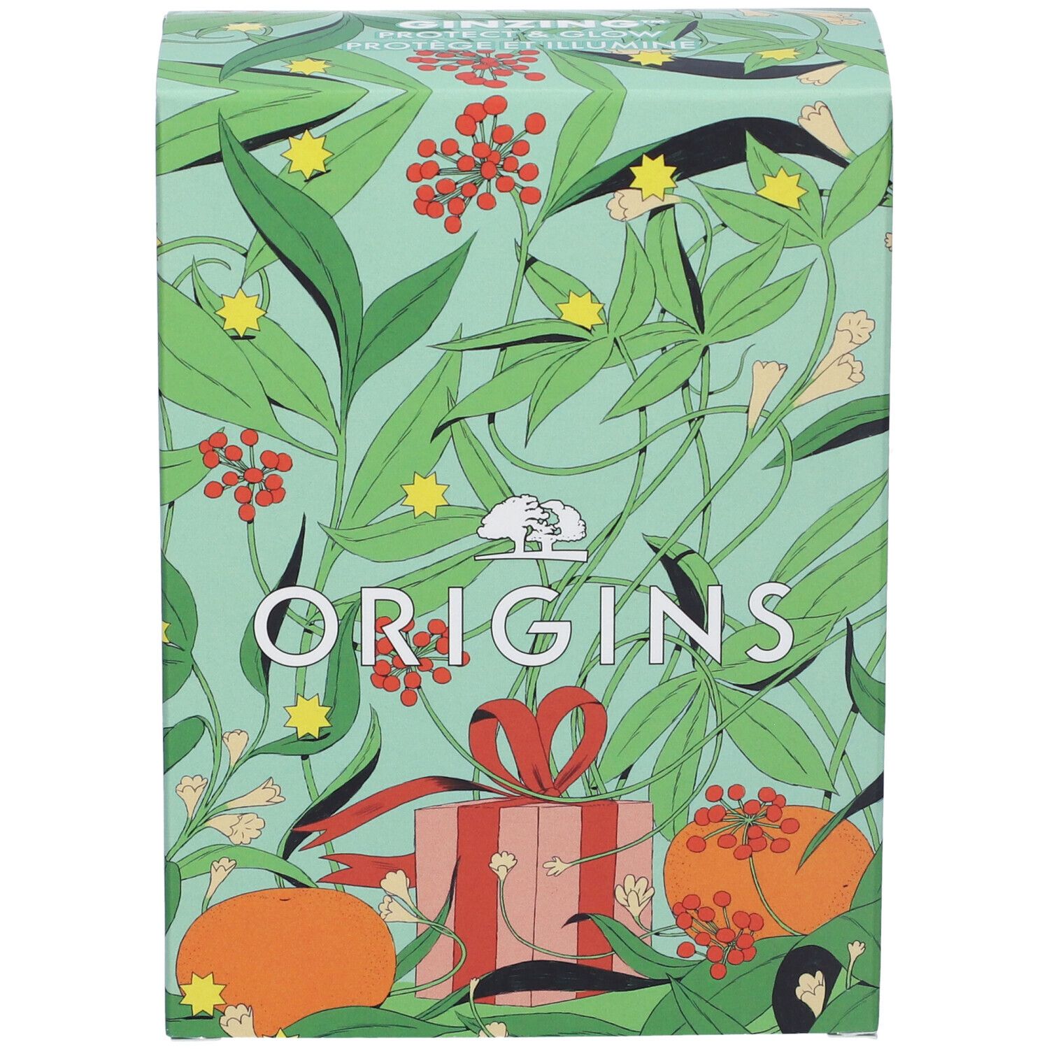 Confezione regalo verde con motivo floreale e scritta "ORIGINS". Un regalo è raffigurato sul davanti.