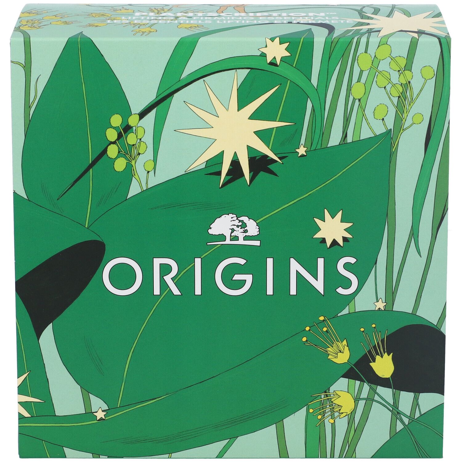 Confezione regalo con logo Origins e motivo vegetale. Scritta Origins.