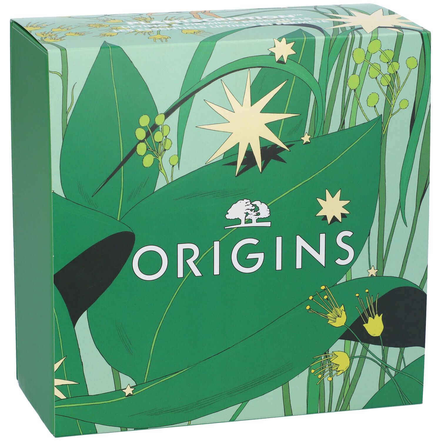 Confezione regalo con logo Origins e motivo vegetale. Scritta Origins.