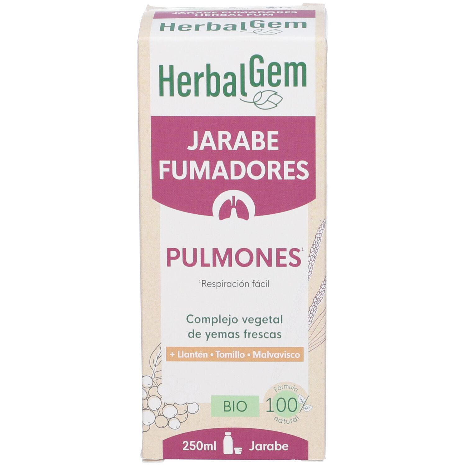 Scatola con testo: HerbalGem, Jarabe Fumadores, Pulmones, 250ml, Bio.