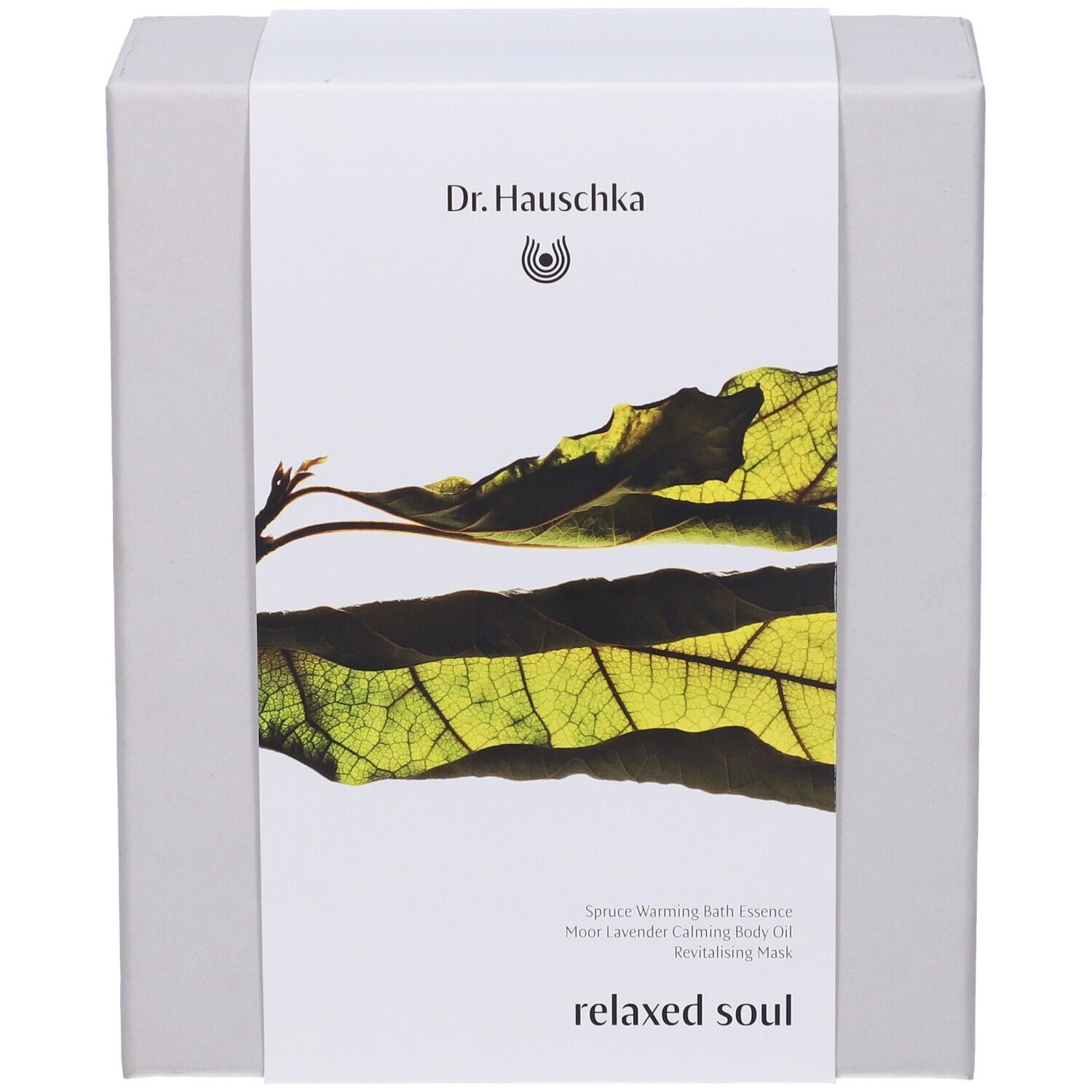 Scatola regalo grigia con fascia bianca. Sulla fascia: logo Dr. Hauschka, motivo foglia, nomi prodotti e testo.