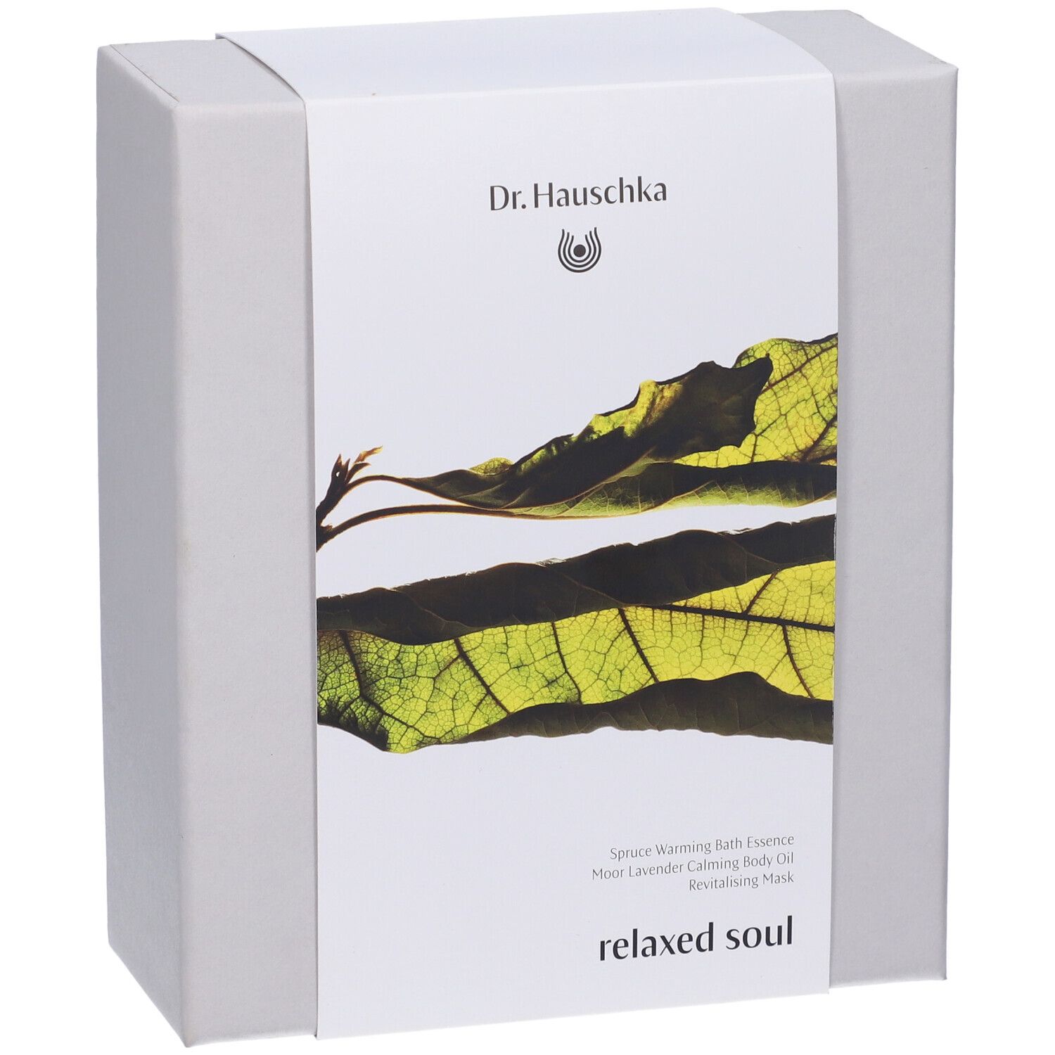 Scatola regalo grigia con fascia bianca. Sulla fascia: logo Dr. Hauschka, motivo foglia, nomi prodotti e testo.