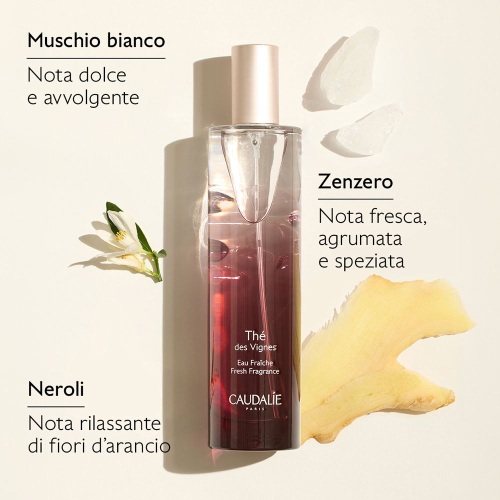 Flacone con liquido. Scritta: Thé des Vignes. Logo Caudalie. Note di zenzero, neroli e muschio.