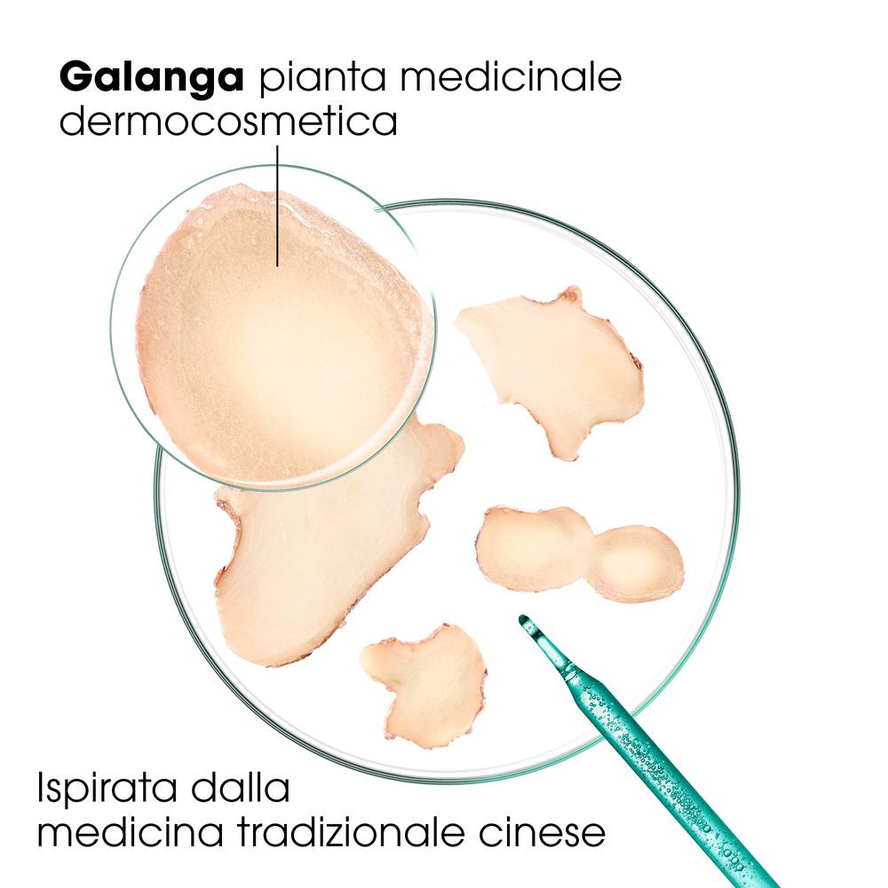 Pezzi di galanga su una capsula di Petri. Testo: Galanga, pianta medicinale dermocosmetica. Ispirata alla MTC.