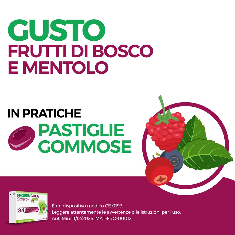 Testo: Gusto Frutti di Bosco e Mentolo. Illustrazione di frutta e foglie. Piccola immagine della confezione. CE 0197.