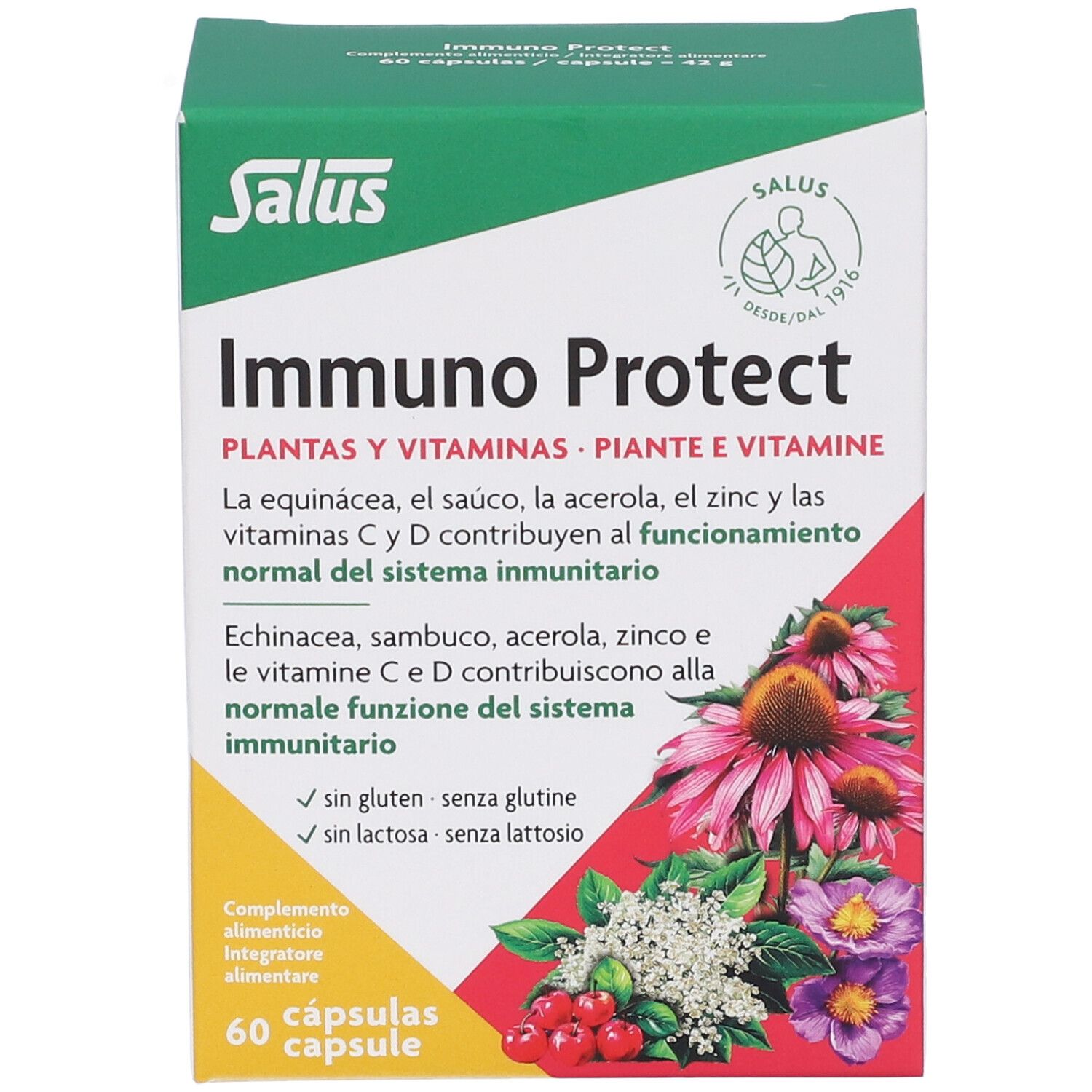 Scatola verde e bianca Salus Immuno Protect. Scritto: 60 capsule. Illustrazioni di fiori e frutta.