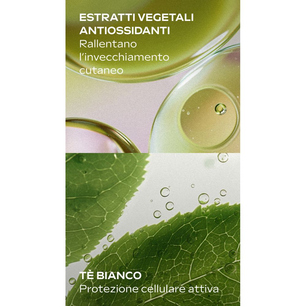Primo piano di foglie e siero. Testo: Antiossidanti, rallentano l'invecchiamento cutaneo. Tè bianco. Sfondo verde.