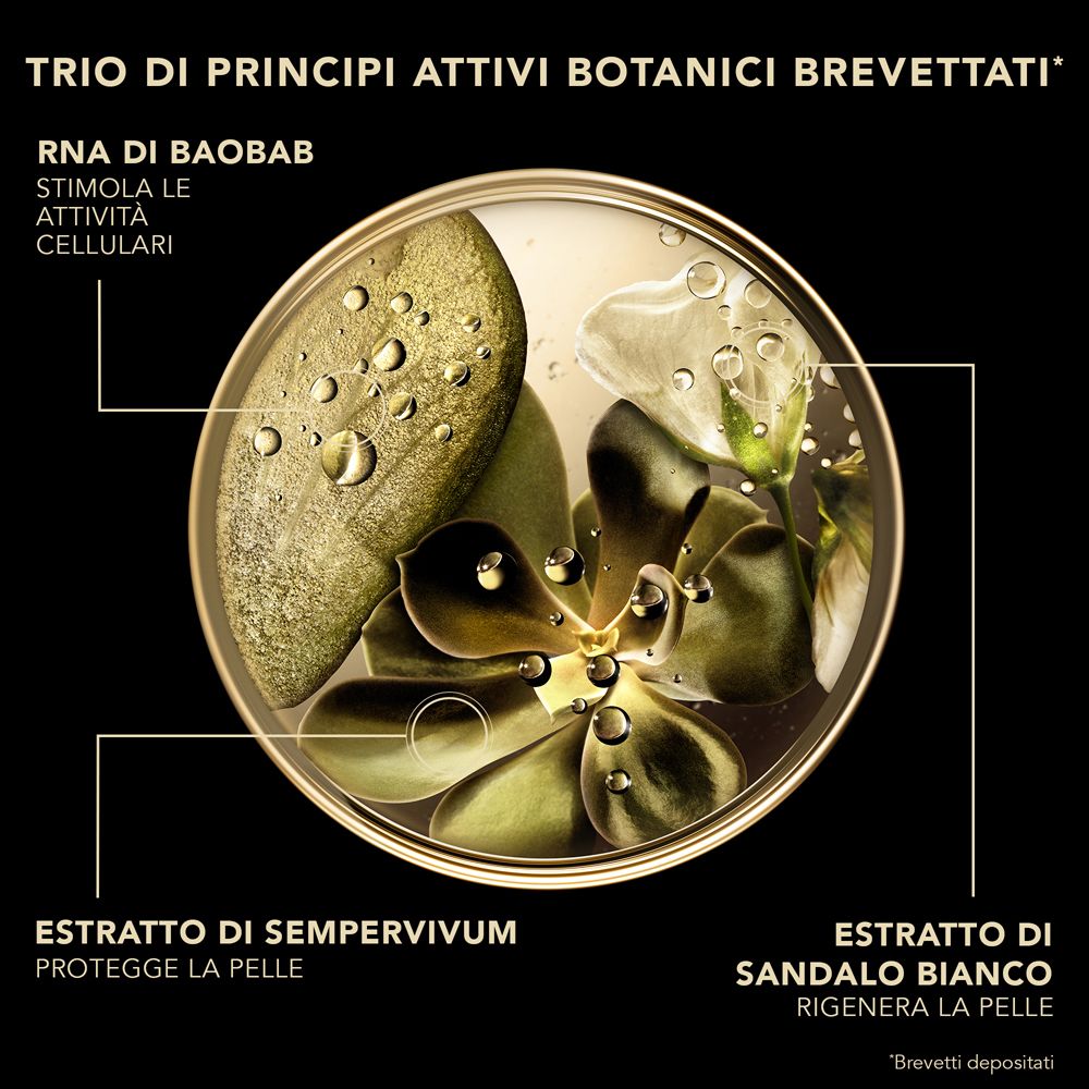 Rappresentazione circolare di estratti vegetali. Testo: RNA di baobab, estratto di semprevivo, estratto di legno di sandalo.
