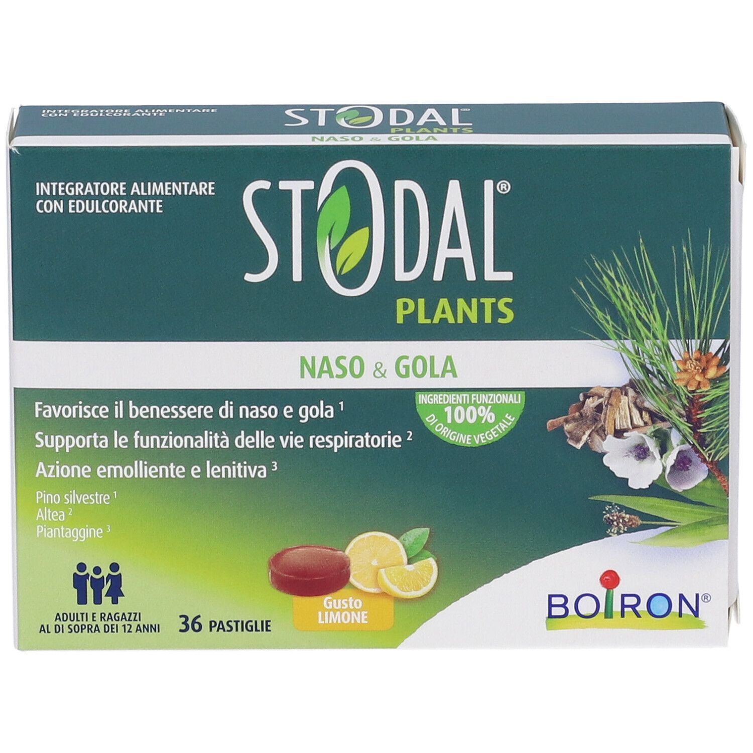 Confezione da 36 pastiglie Stodal Plants per naso e gola.