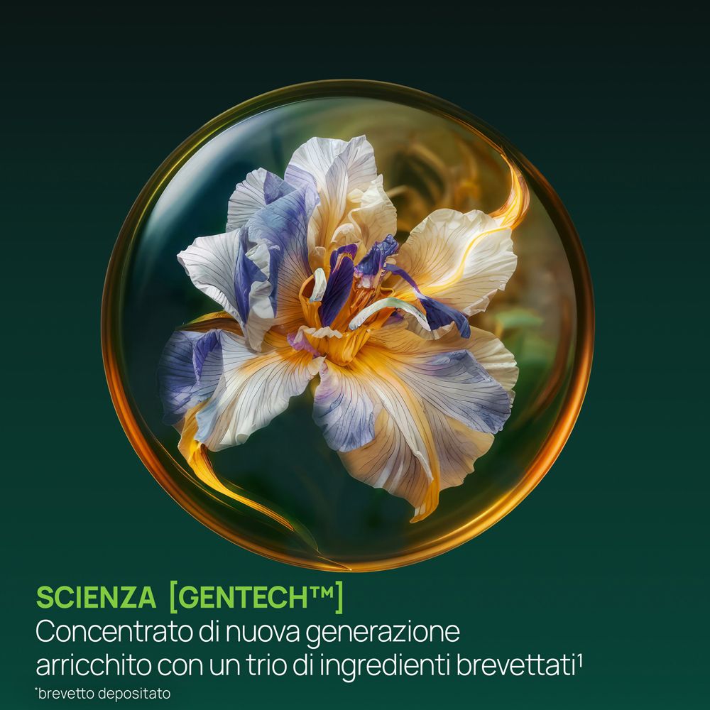 Un fiore di iris in una bolla dorata, su sfondo verde scuro.