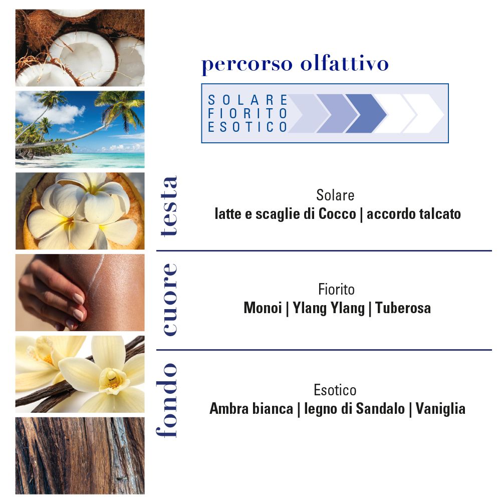 Grafico delle note olfattive. Note di testa: cocco, talco. Note di cuore: Monoi, Ylang-Ylang, Tuberosa. Note di fondo: Ambra, legno di sandalo, vaniglia.