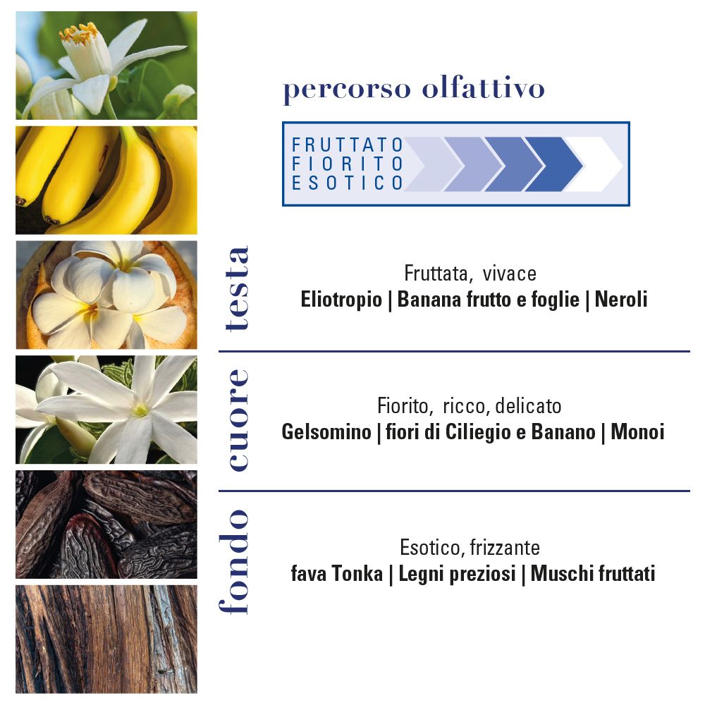 Grafica con note olfattive. Fruttato, fiorito, esotico. Testo sulle note di testa, cuore e fondo. Nessun marchio visibile.