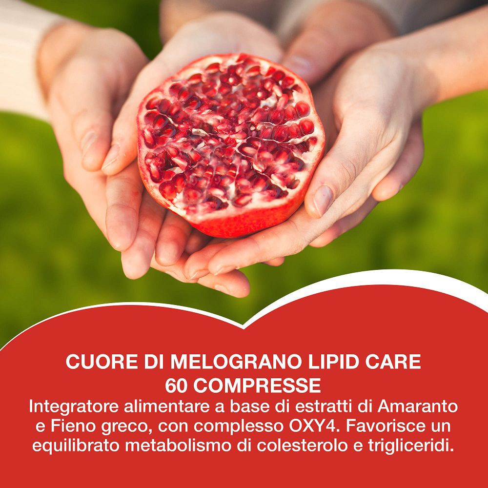 Mani che tengono una metà di melograno tagliato, con testo su Cuore di Melograno Lipid Care.