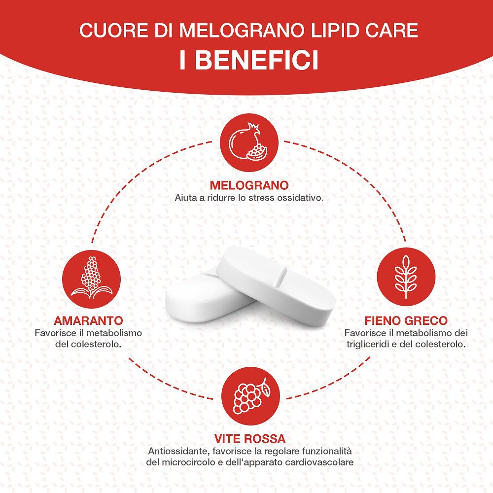 Grafica con melograno, amaranto, fieno greco e vite rossa per il metabolismo.
