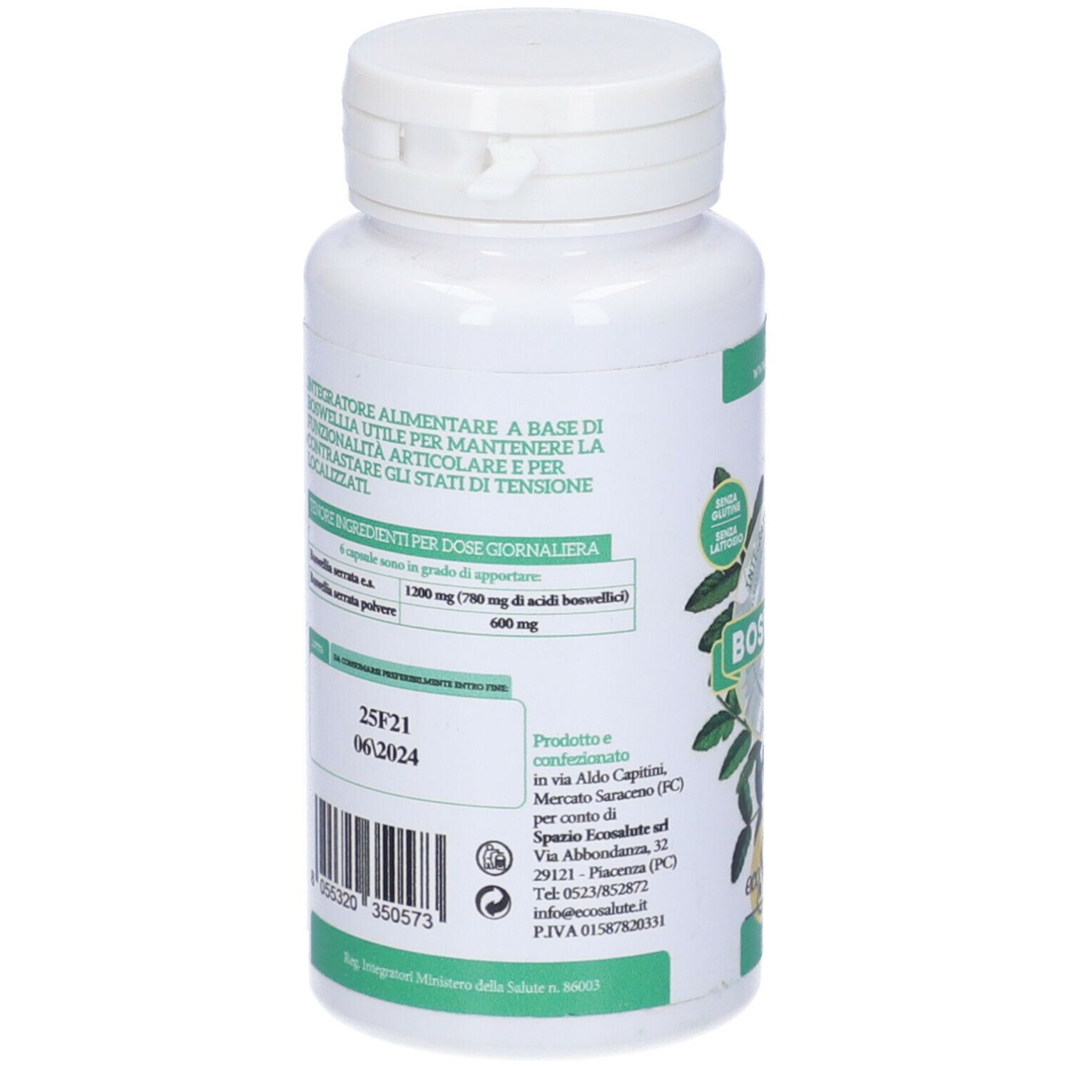 Boswellia 100 Capsule